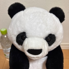 パンダ　ぬいぐるみの画像