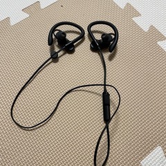 Spirit X  Wireless Earphonesの画像