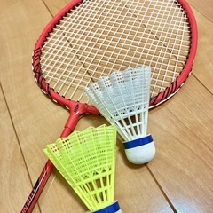 本日5.9日土曜日　水戸市姫子町の体育館でバドミントン出来る方募...