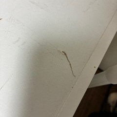 【引き取り決定】
の画像