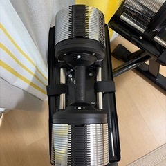 ライシン ヘリックスミラー 40キロ✖️2ダンベルスタンドプロ付き   バーウイングのインクラインベンチセット売りの画像