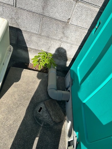 水洗トイレ