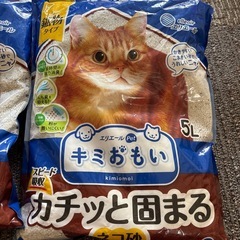 猫砂の画像