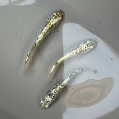 【現物トリオ】上物レックウザ②の画像