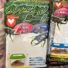昆虫育成セットの画像