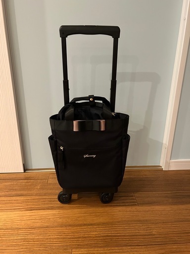 スワニー　ウォーキングバッグ、キャリーバッグ　Sサイズ　