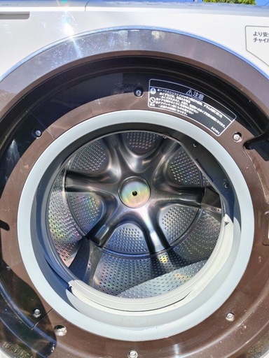 日立ドラム式電気洗濯乾燥機 BD-SX110EL