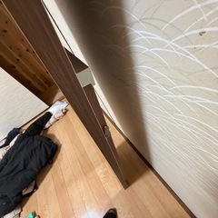 無料！　姿見　ミラーの画像