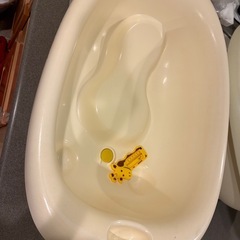 ベビー沐浴🛁の画像