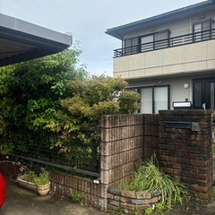 土日祝限定　草刈り、剪定