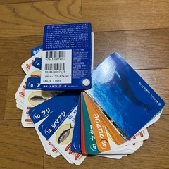 子供用　お魚カード図鑑の画像