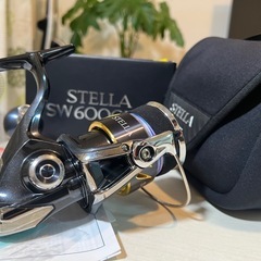 13ステラSW 6000HG美品の画像