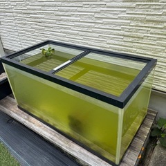 90cmガラス水槽の画像