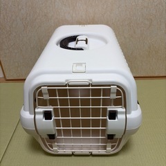 猫　キャリーケースの画像