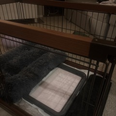 ペットケージ　犬　ケージの画像