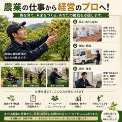 【短期〜長期候補】梅収穫期の現場サポート募集｜主体的に動ける方歓迎の画像