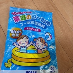 家庭のプール用　　の画像