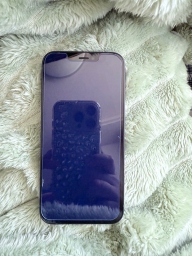 iPhone12mini
