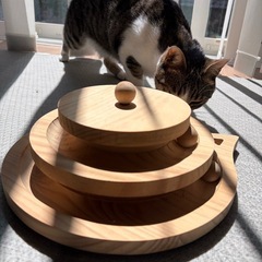猫のおもちゃ2個セットの画像
