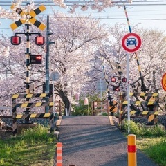 土日で活動してる近場のスポーツクラブ探してます