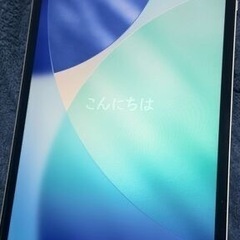 【美品】 iPad Pro (第四世代) 11インチ 2TB セルラーモデル シルバー の画像