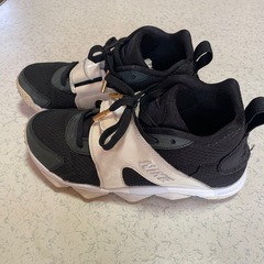NIKEエアズームの画像