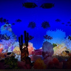 バーチャルウィンドーピクチャー 海 熱帯魚 ヒーリングの画像