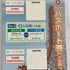おまけ付き　ナガシマリゾートパスポートの画像