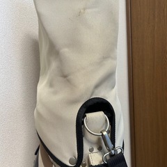 【差し上げます】キャディバッグ　ゴルフバッグ　ミズノ　使用感ありの画像
