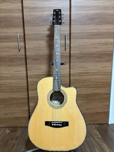 【90%オフ】アコースティックギター Alegre Guitar