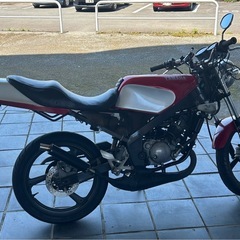 tzr50rの画像