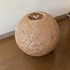 照明　傘のみの画像