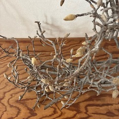 木蓮オブジェの画像