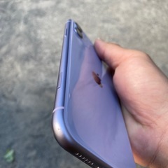本日、秋葉原で19時まで！iPhone11 64GB パープルの画像