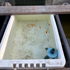 NVボックス13各色　中古　2個セットの画像