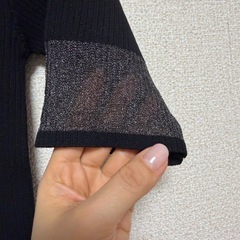ラメシアー袖ニットトップス
の画像