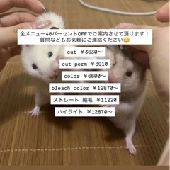    メンズ特化美容師！カット・パーマお任せください！