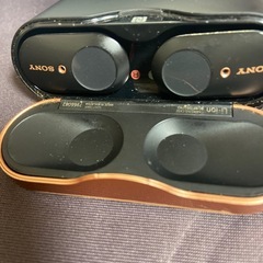 ソニー ワイヤレスイヤホン WF-1000XM3の画像