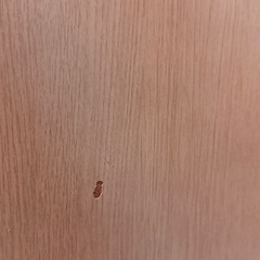 円形コタツとスツールの画像