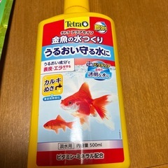 金魚のエサ　　金魚の水つくりの画像