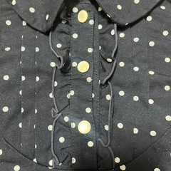 レディース 半袖服の画像