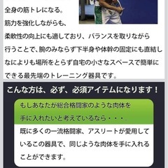 The Burn Machine(バーンマシン) バーンマシンシリーズ フィットネス リハビリの画像