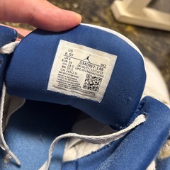 Air Jordan3 (24.5)の画像