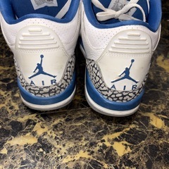 Air Jordan3 (24.5)の画像