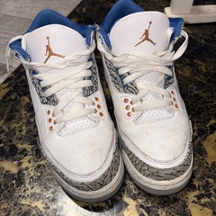Air Jordan3 (24.5)の画像
