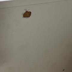 【5/19までに引き取り可能な方】キッチンラック 食器棚 (おまけ付き)の画像