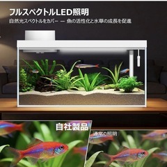 ガラス水槽の画像