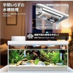 ガラス水槽の画像