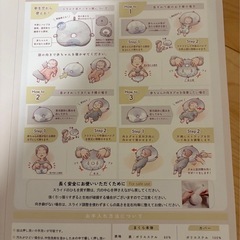 エスメラルダ　ドーナツ枕　スライド式の画像
