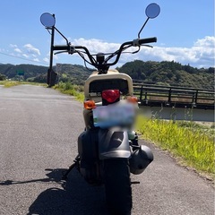 （再投稿）ホンダズーマー50 バージンベージュの画像